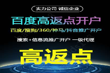 SEM搜索引擎优化案例：如何提升网站流量和转化率